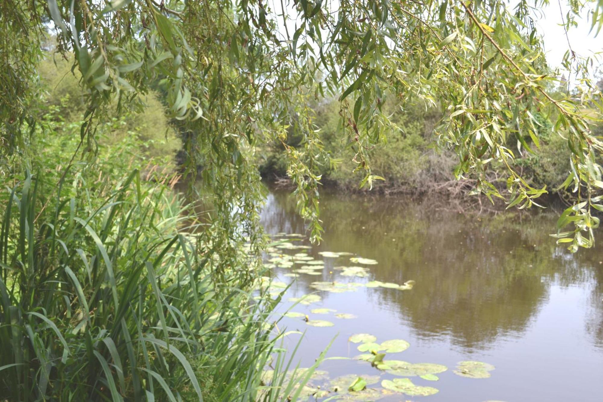 Les Bruyeres Gite Montbron Exterior foto